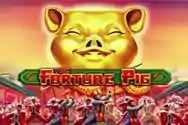 THE FORTUNE PIG?v=6.0